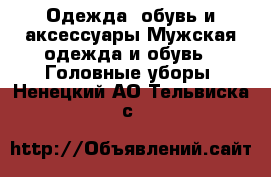 Одежда, обувь и аксессуары Мужская одежда и обувь - Головные уборы. Ненецкий АО,Тельвиска с.